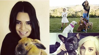 Παγκόσμια Ημέρα Ζώων: Οι πιο γλυκιές στιγμές των celebs με τα κατοικίδιά τους