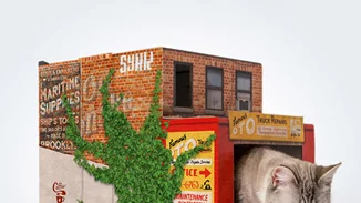 Έχεις γάτα; Τότε θα θέλεις να δεις αυτά τα σπιτάκια