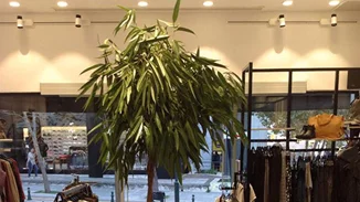 Helmi: Το Σάββατο 17 Δεκεμβρίου βοηθούμε τους "Φίλους του Παιδιού"