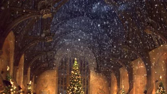 Απόλαυσε το χριστουγεννιάτικο γεύμα σου στο Hogwarts!