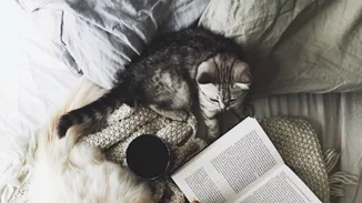 15/10: Αυτοί είναι οι Instagram λογαριασμοί που θέλουμε να ακολουθούμε τώρα