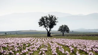 Ένα ταξίδι στον Κρόκο Κοζάνης: Η μοναδική εμπειρία και μια νέα beauty άφιξη