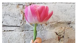 #maniMonday και Baby It's Cold Outside: Με άλλα λόγια, πώς να βάψεις τα νύχια σου τώρα