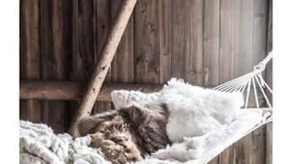 Hygge: Τι σημαίνει η νέα τάση και πώς να την υιοθετήσεις στο σπίτι