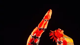 Opus Cactus: Η πιο μαγική χορευτική παράσταση έρχεται στην Ελλάδα