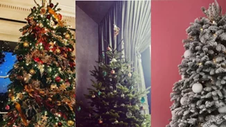 Δες τα χριστουγεννιάτικα δέντρα των διασήμων!