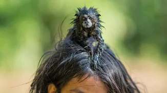 Μερικές από τις καλύτερες φωτογραφίες της χρονιάς από το National Geographic