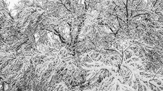 Φωτογραφίες από την «κάτασπρη» χριστουγεννιάτικη Αθήνα