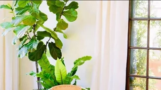 5 deco tips που μάθαμε από το Instagram