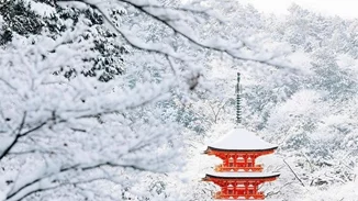 Οι φωτογραφίες από το χιονισμένο Κιότο που θα σε κάνουν να το ερωτευτείς