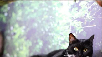 Fooding around: 5 θεματικά μέρη για να επισκεφτείς στο επόμενο ταξίδι σου