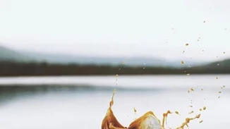 Αγαπάς τον καφέ; Να 13 Instagram λογαριασμοί που πρέπει να ακολουθήσεις