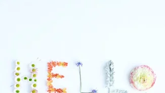 Οι Instagram λογαριασμοί που θα σου φτιάξουν τη διάθεση