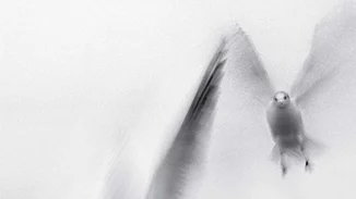 Γνώρισε τη ζωή και το έργο του Μπέκετ μέσα από μία υπέροχη θεατρική παράσταση