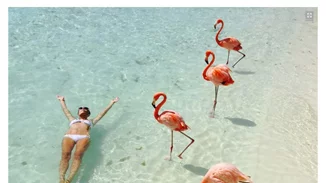 Σε αυτή τη μαγευτική παραλία κολυμπάς παρέα με... φλαμίνγκο!