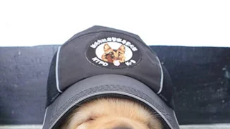 Τα νέα μέλης της αστυνομίας της Ταϊβάν είναι κουτάβια και έχουν τρελάνει το ίντερνετ