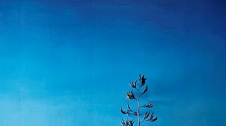 Οι μεγαλύτερες τάσεις στη διακόσμηση του σπιτιού για το 2017