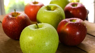 Σπάνε κάθε ρεκόρ οι εξαγωγές φρούτων και λαχανικών το 2023