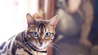 Είναι αυτή η πιο γλυκιά διαφήμιση που έχουμε δει; Εμείς πάντως λιώσαμε!