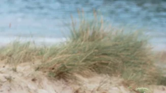 Πικνικ στην Παραλία: Όλα όσα θα χρειαστείς και οι ωραιότερες ιδέες να αντιγράψεις!