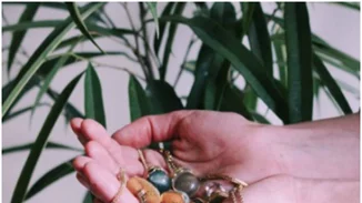 10 ιδέες για να περάσεις καλά τον Ιούλιο