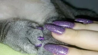 Πώς θα ταιριάξεις το manicure σου με αυτό του κατοικίδιου ζώου σου