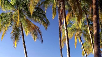 Αυτές είναι οι πιο όμορφες μυστικές παραλίες του πλανήτη