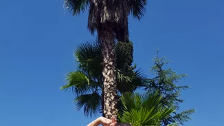 Esmara by Heidi Klum | 5 high fashion looks από την πιο συναρπαστική συνεργασία της σεζόν