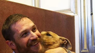 Tom Hardy | Ποζάρει με σκυλιά και φτιάχνει την ημέρα μας (κάθε μέρα!)