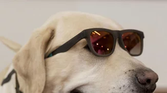 #GiveLoveTOMSGreece: Ένας διαγωνισμός αγάπης με πρωταγωνιστή το pet σου!