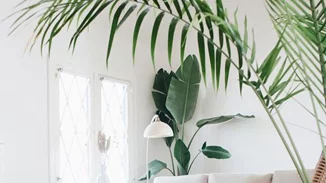 Φθινοπωρινή Ανανέωση | 25 εύκολα καθημερινά tips για τάξη και καθαριότητα στο σπίτι