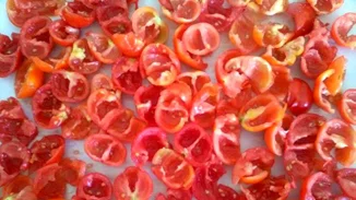 Πώς θα φτιάξεις λιαστές ντομάτες μόνη σου στο φούρνο