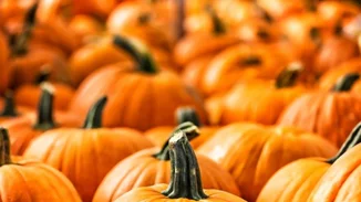 5 λόγοι να φας κολοκύθα ΤΩΡΑ (ναι, ξεκινάει η εποχή της!)