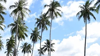 Nomads: Ο παίκτης που σώθηκε & η μονομαχία