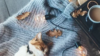 Πώς θα κάνεις το σπίτι σου λίγο πιο cozy αυτό το φθινόπωρο;