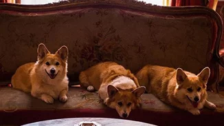 Οι νέες σειρές του Netflix που θα σού κρατήσουν την καλύτερη συντροφιά τον Δεκέμβριο!