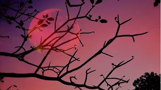 Πανσέληνος στον Ταύρο | Τι σημαίνει για το ζώδιό σου;