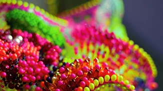 Το ΠΙΟ εντυπωσιακό και παράξενο φόρεμα όλων των εποχών!