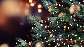 Χριστουγεννιάτικο δέντρο | Αυτός είναι ο σωστός τρόπος να βάλεις τα λαμπάκια!