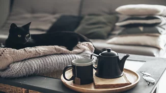 Tips για να ζεστάνεις τον χώρο σου χωρίς καλοριφέρ!