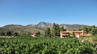 Εσύ που θα περάσεις την πρώτη Κυριακή του μήνα;