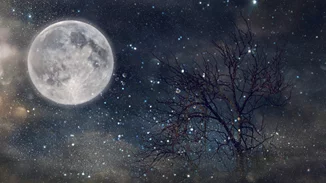 Πανσέληνος και ολική έκλειψη σελήνης στον Λέοντα | Πώς θα επηρεάσει τα ζώδια;