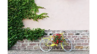 10+1 Instagram λογαριασμοί που αγαπούν τα φυτά