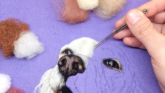 Τα πιο όμορφα πορτρέτα κατοικιδίων είναι φτιαγμένα από μαλλί