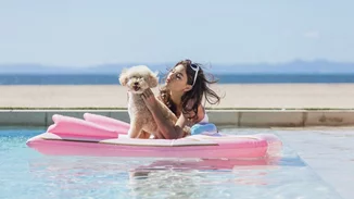 Αυτό το καλοκαίρι ο σκύλος σου θα έχει το δικό του φουσκωτό στρώμα