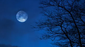 Νέα Σελήνη στο Ταύρο | Πώς επηρεάζει όλα τα ζώδια;