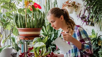 Φυτά εσωτερικού χώρου: Ποιο να επιλέξεις ανάλογα με το ζώδιο σου!