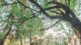 Καλοκαιρινός Tasty Οδηγός: 7 αγαπημένοι κήποι στην Αθήνα