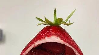 Cedric Grolet: Κυκλοφορεί στα ελληνικά το βιβλίο του καλύτερου Pastry Chef στον κόσμο