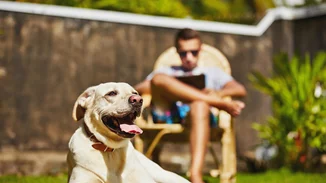 Τα σκυλιά μας κάνουν πιο ευτυχισμένους, πιο υγιείς και περισσότερο fit